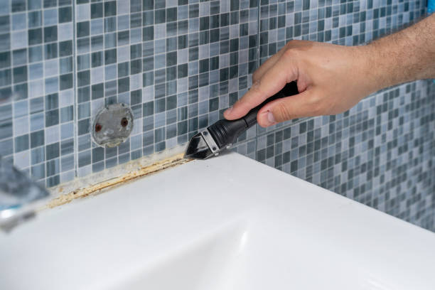 Best Toxic Mold Removal  in Woodburn, VA