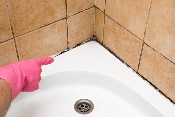 Best Emergency Mold Removal  in Woodburn, VA